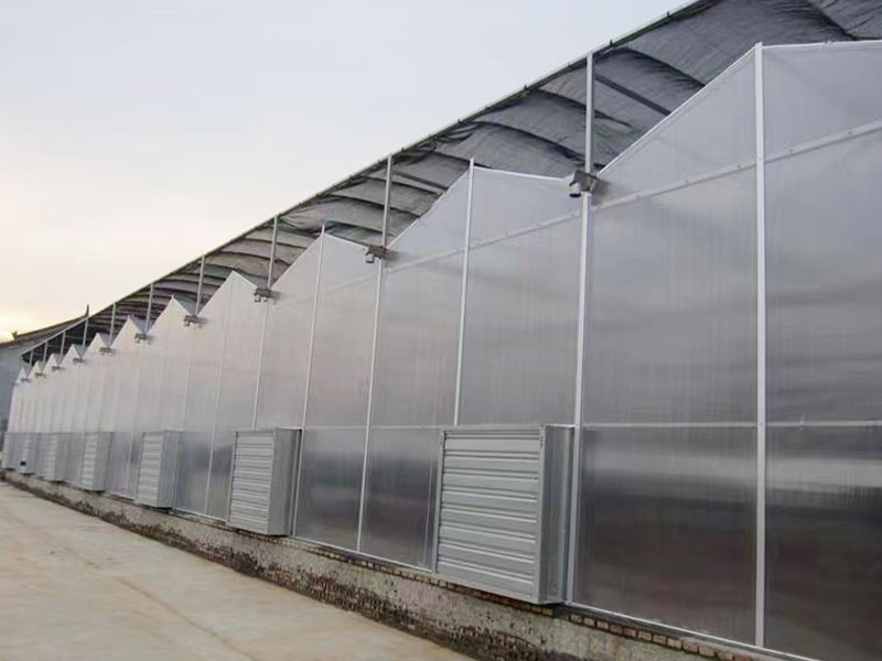 客戶案例現(xiàn)場 客戶案例現(xiàn)場