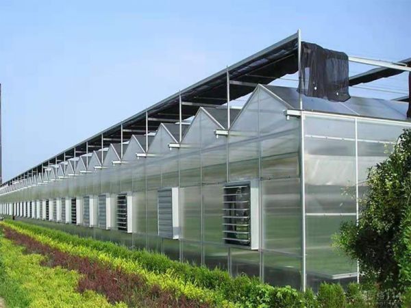 如何做好陽(yáng)光溫室大棚的保養(yǎng)工作你知道嗎？