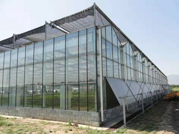 濰坊連棟溫室的使用事項(xiàng)有哪些？