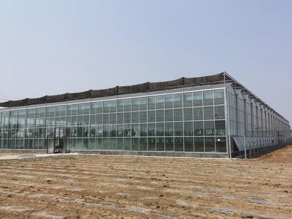 玻璃溫室大棚