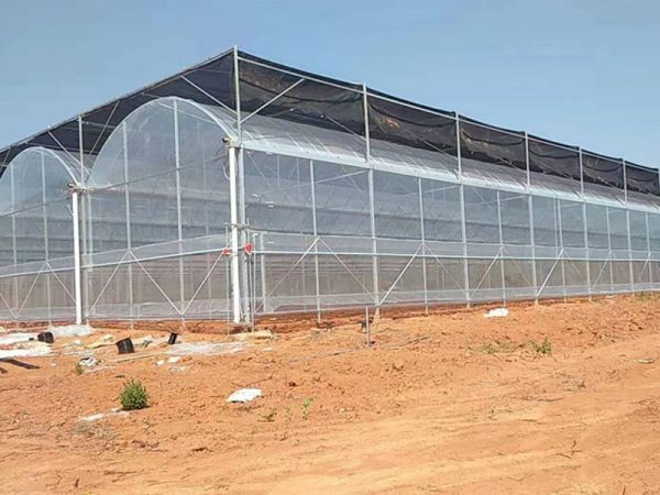 薄膜溫室大棚