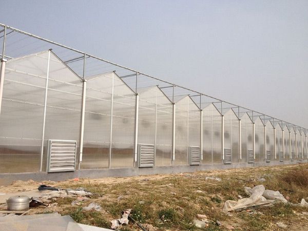 陽(yáng)光板溫室大棚