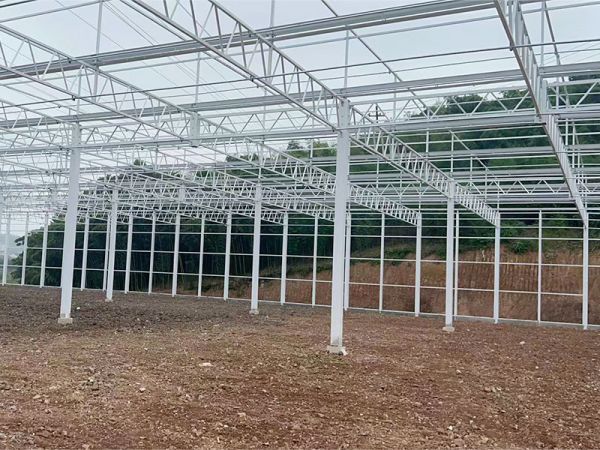 客戶案例現(xiàn)場