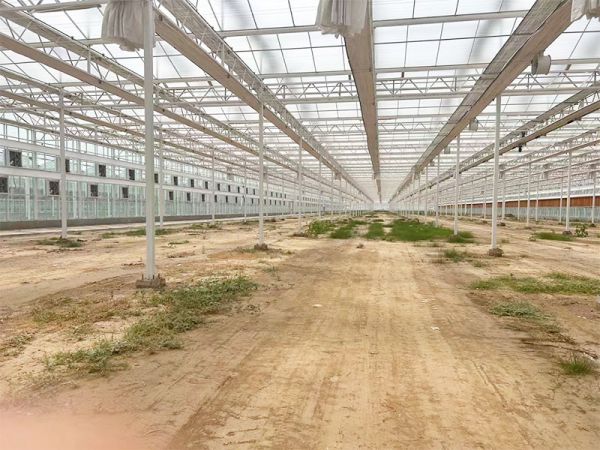 客戶案例現(xiàn)場