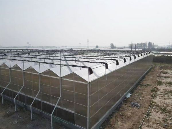 客戶案例現(xiàn)場