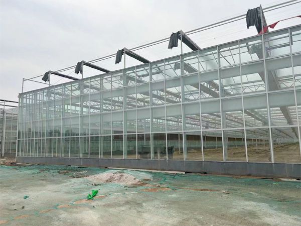 客戶案例現(xiàn)場