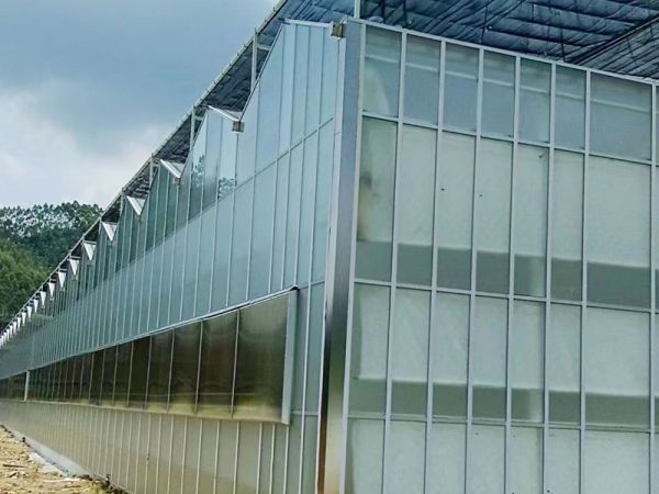 客戶案例現(xiàn)場