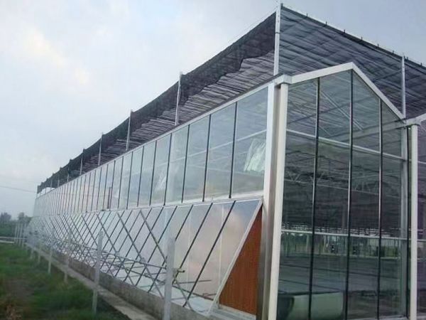 客戶案例現(xiàn)場