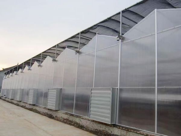 客戶案例現(xiàn)場