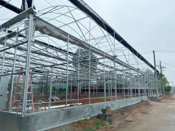 客戶案例現(xiàn)場